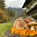 Schneealpe Apartmán