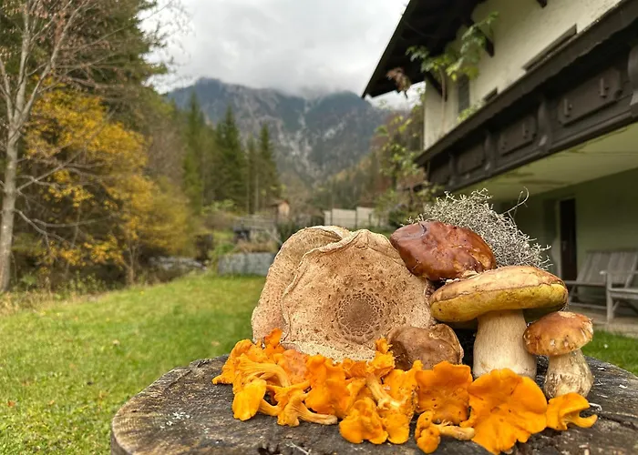 Schneealpe Apartamento