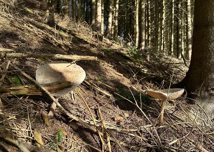 Apartamento Schneealpe